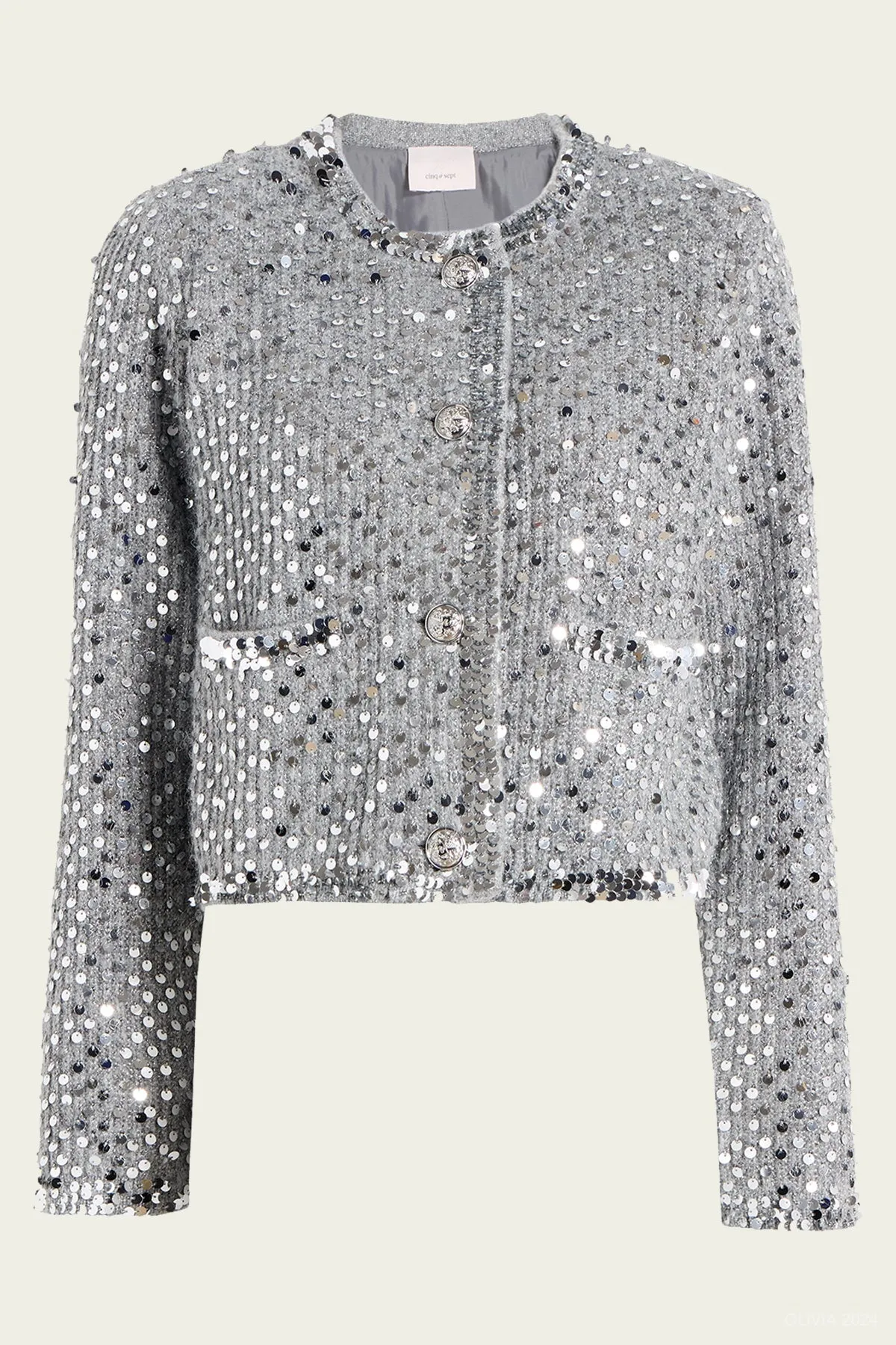 Benoit Embellished Jacket in Silver