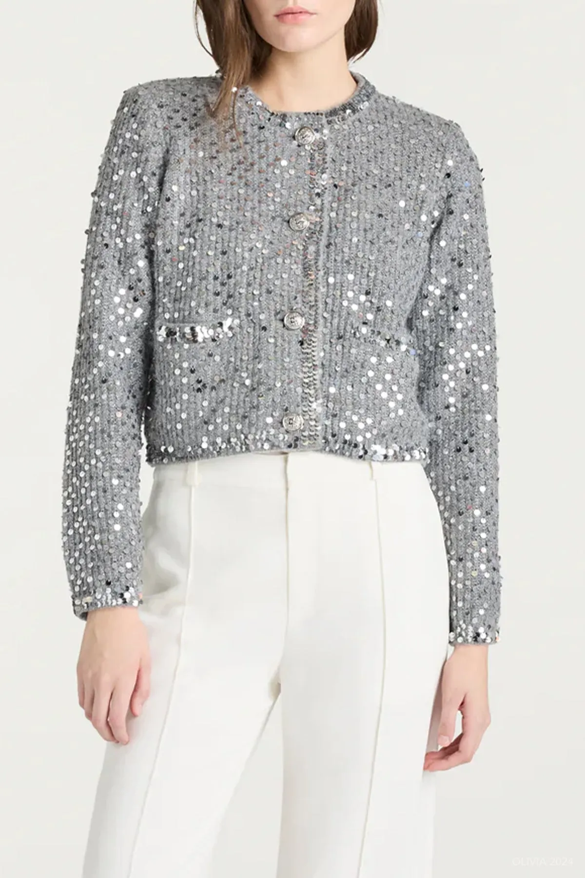 Benoit Embellished Jacket in Silver