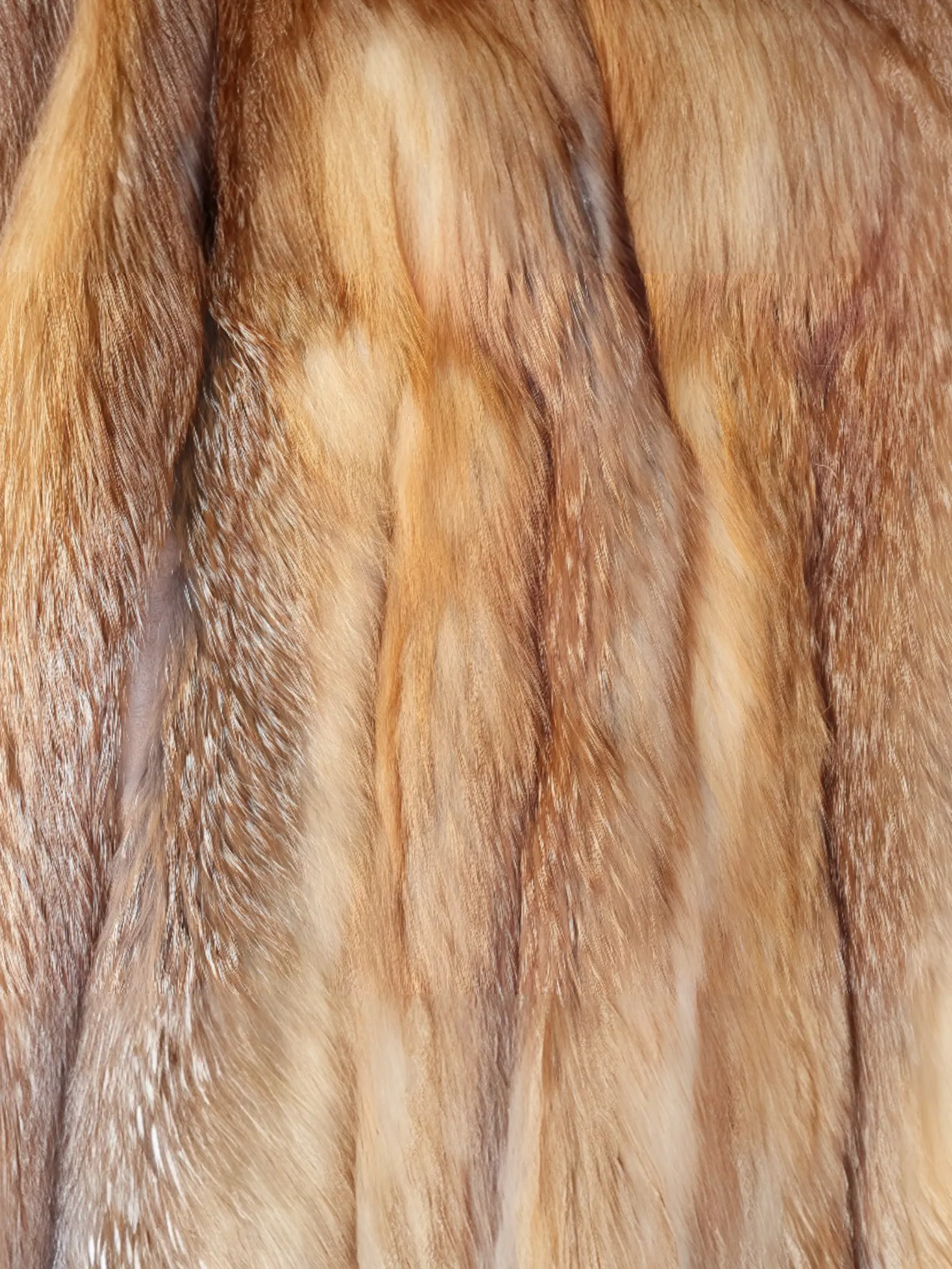 Vintage Red Fox Stroller Jacket (80's Style) -Large